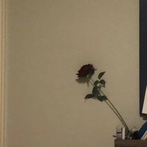 Meet your Posher, Ginny